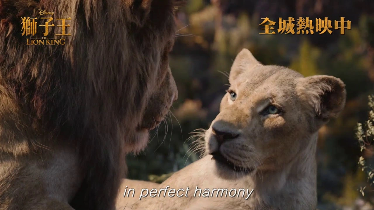[電影預告] 迪士尼 《獅子王》The Lion King - 香港宣傳片 “Can You Feel the Love Tonight”   (中文字幕)